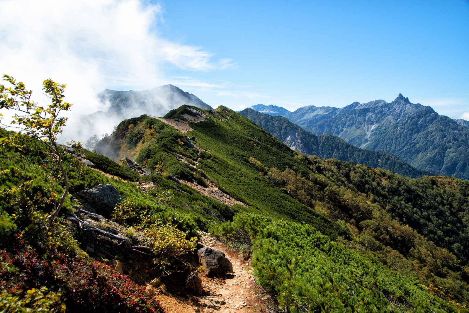 「燕岳から大天井岳への登山道」の写真