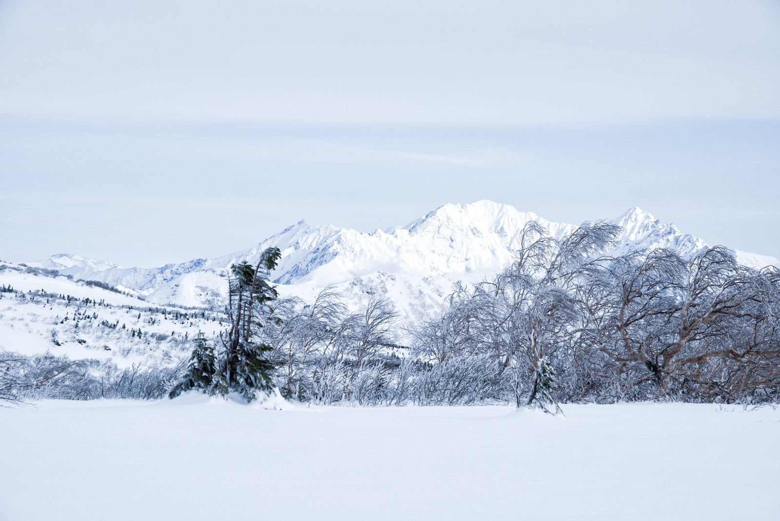 「雪化粧した穂高連峰の稜線（飛騨山脈南部）」の写真