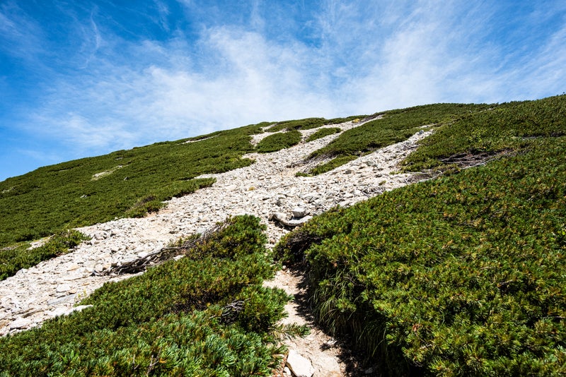 2峰への緩やかな登り道のフリー素材
