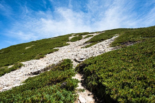 2峰への緩やかな登り道の写真