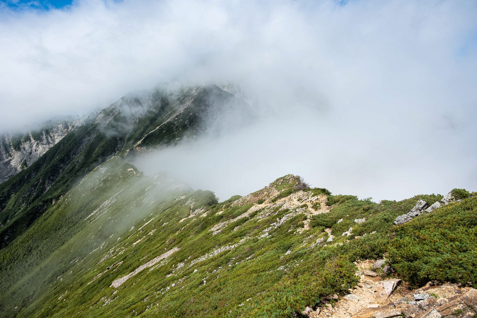 「一峰から天狗の大下りへの登山道」の写真