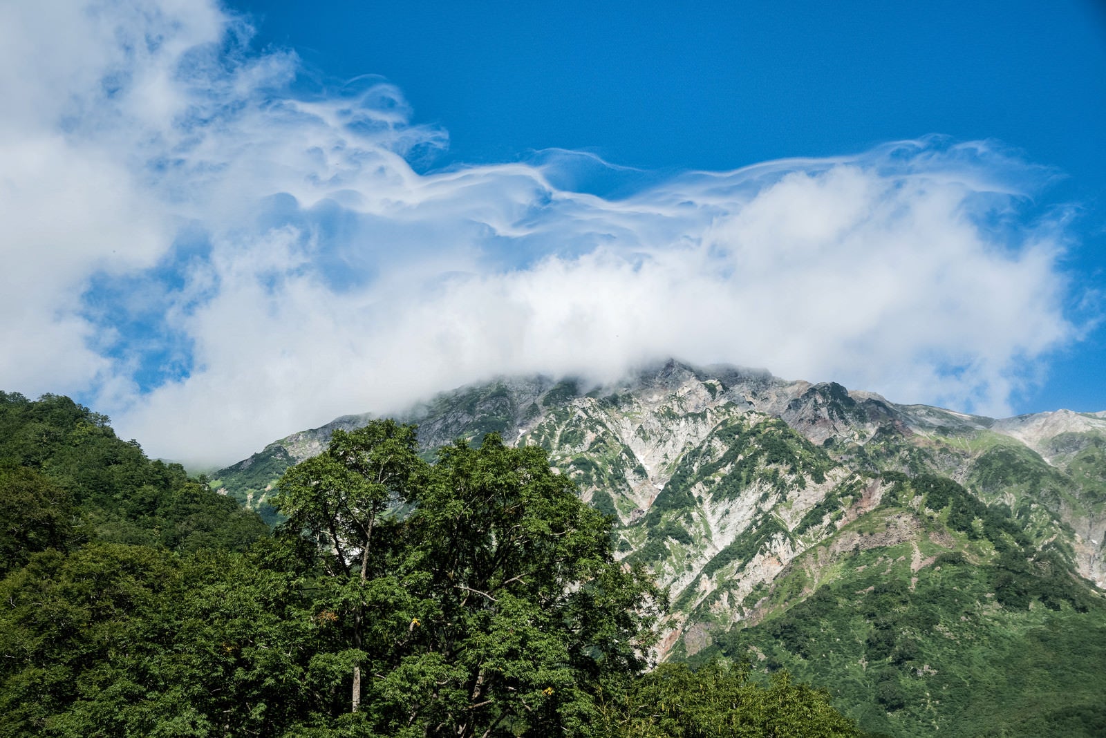 「雲に呑まれる白馬岳」の写真