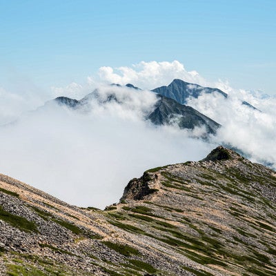 天狗背稜と唐松岳の写真