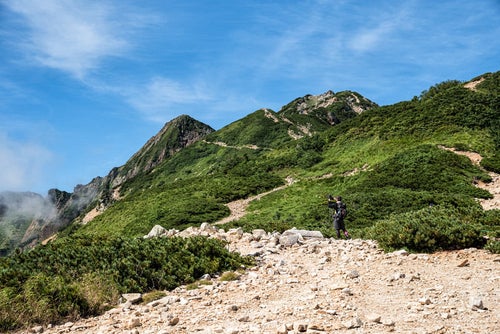 唐松岳へ至る登山道の写真