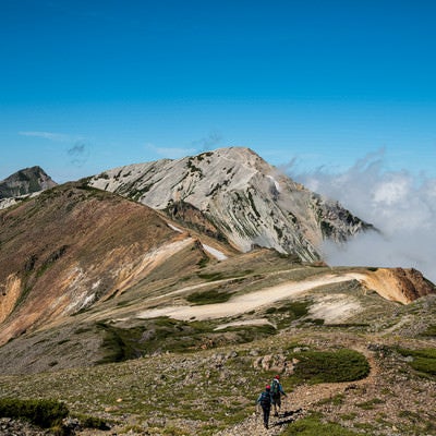 白馬鑓ヶ岳に続く登山道の写真