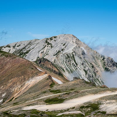 白馬鑓ヶ岳に続く登山道の様子の写真