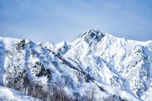 菱形の雪形（五竜岳）の写真