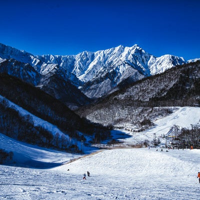山岳美を楽しめるゲレンデ（鹿島槍スキー場）の写真