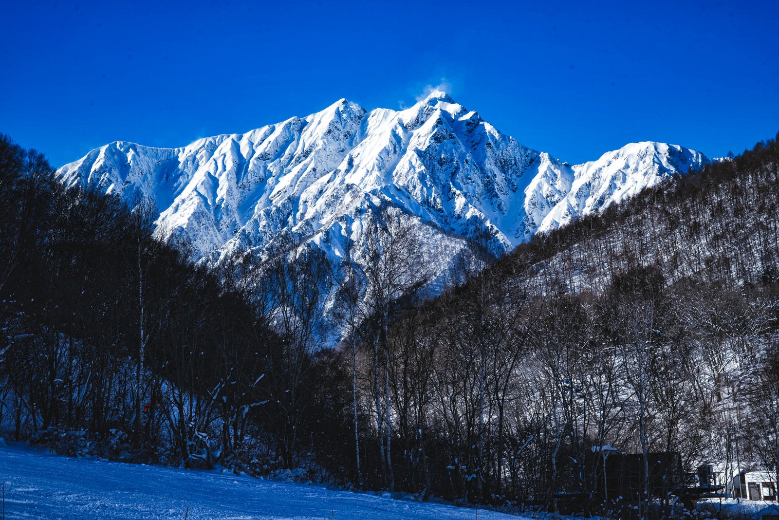 「冬の鹿島槍ヶ岳（北アルプス）」の写真
