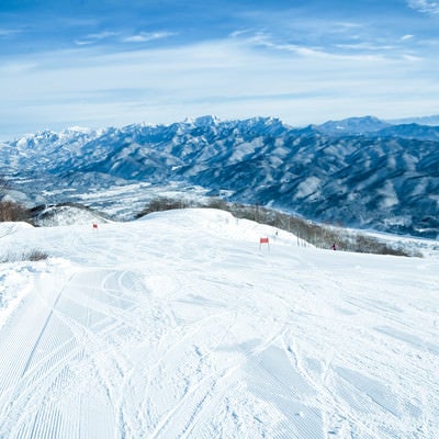 雪面に残るシュプール（白馬五竜スキー場）の写真
