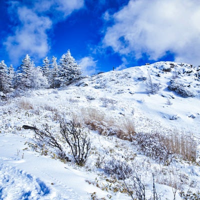 雪に覆われた王ヶ鼻（北アルプス）の写真