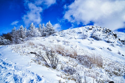 雪に覆われた王ヶ鼻（北アルプス）の写真