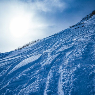 雪の深いシュプール（未圧雪斜面）の写真