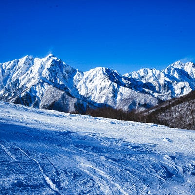 雪化粧した鹿島槍ヶ岳と爺ヶ岳の写真