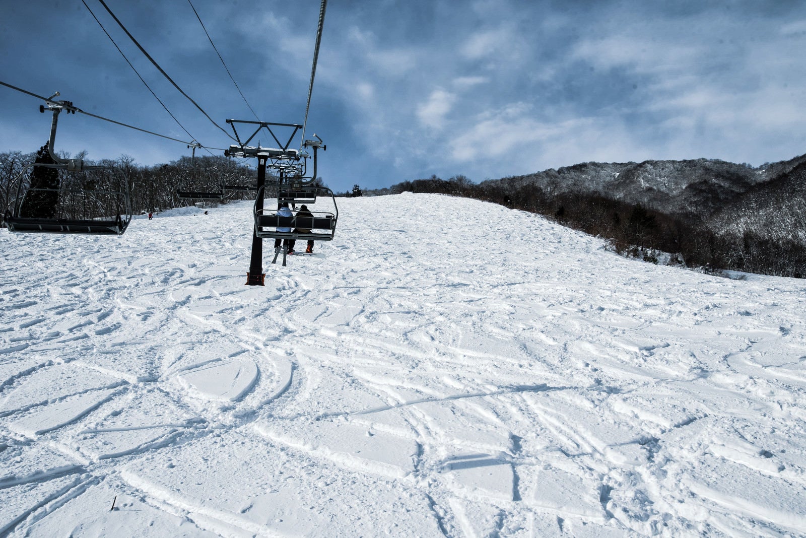 「未圧雪斜面に付いたシュプール（白馬五竜スキー場）」の写真