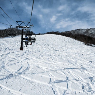 未圧雪斜面に付いたシュプール（白馬五竜スキー場）の写真