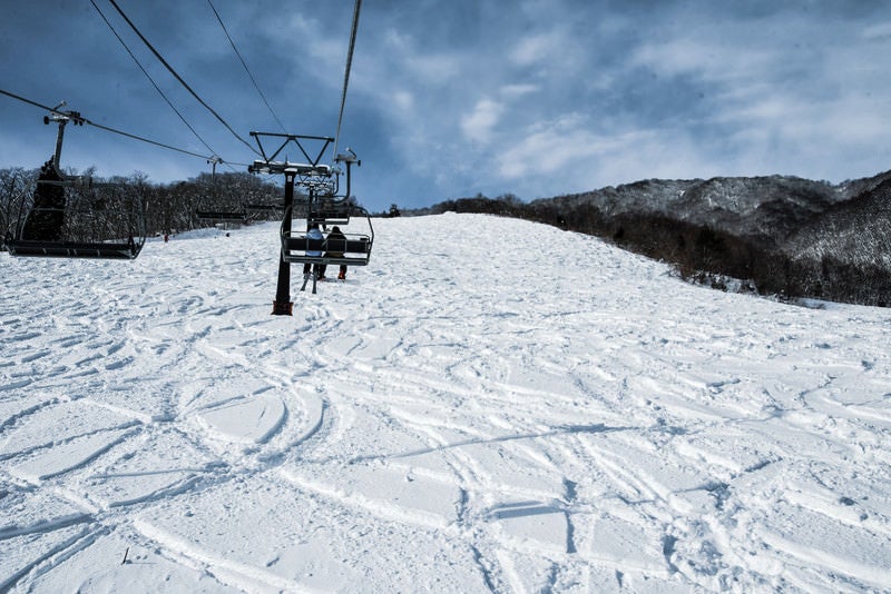 未圧雪斜面に付いたシュプール（白馬五竜スキー場）の写真