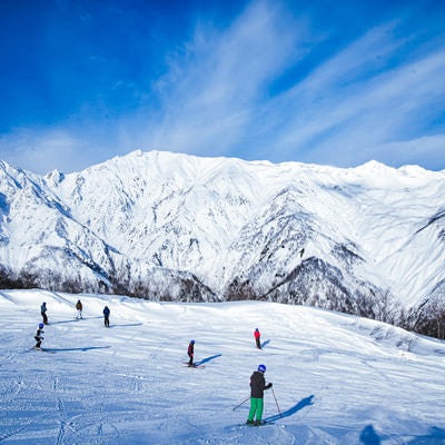 白馬三山と唐松岳が見えるスキー場の写真