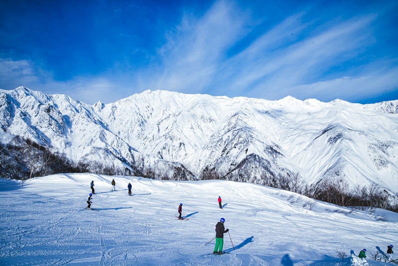 白馬三山と唐松岳が見えるスキー場の写真