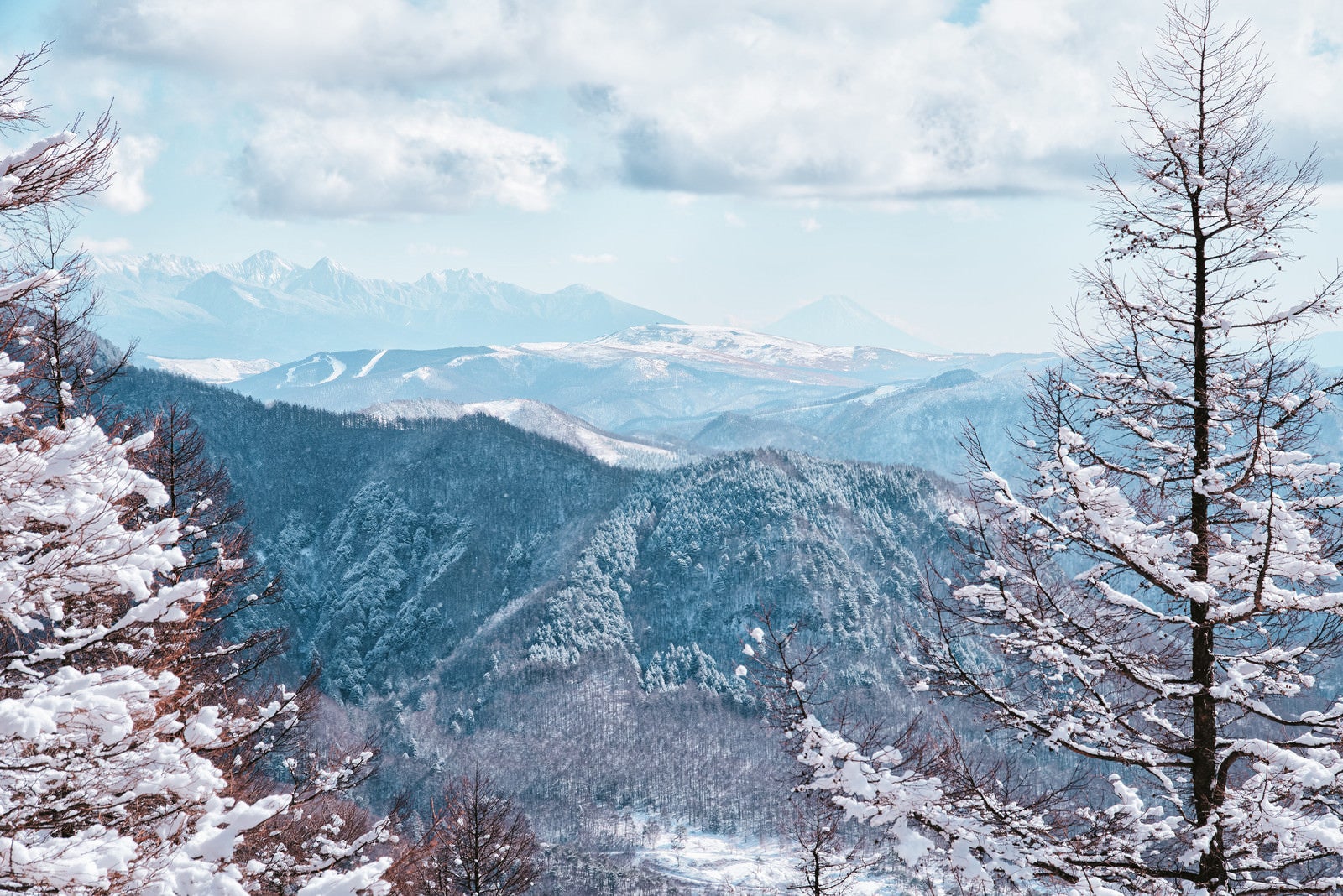 「一月の美ヶ原から見える絶景（富士山方面）」の写真