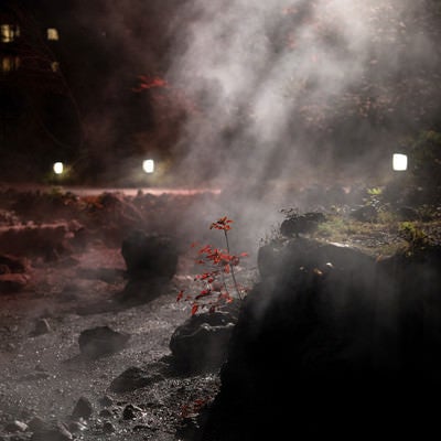立ちのぼる湯気を照らすライト（草津温泉、西の河原公園）の写真