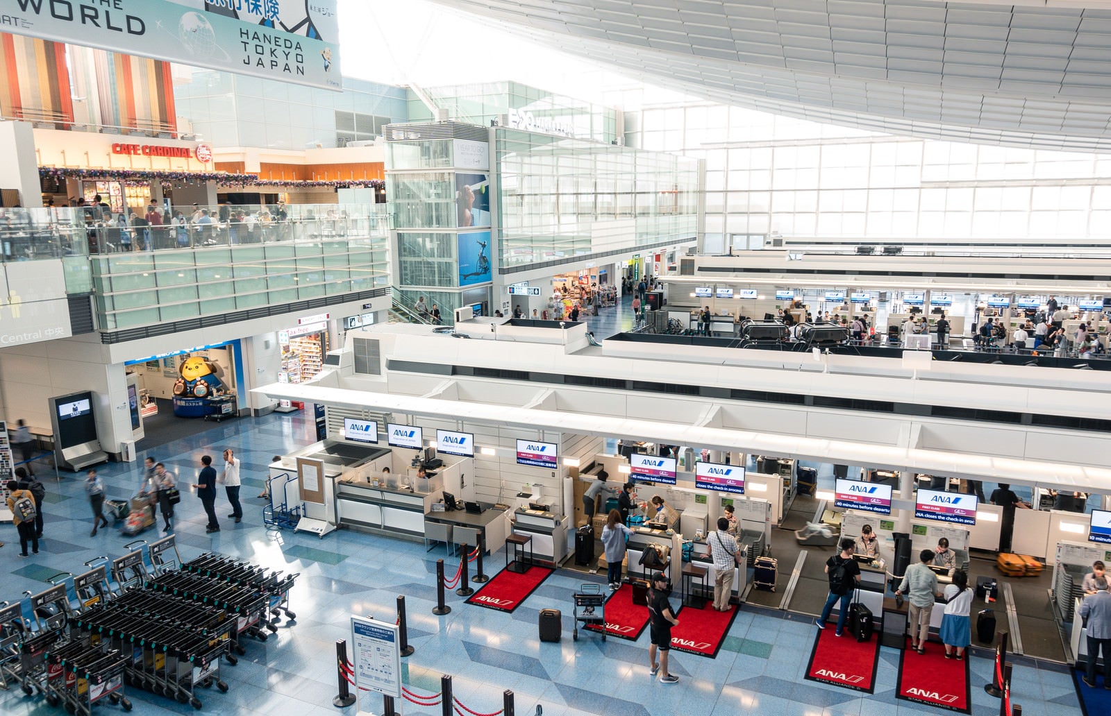 「第三ターミナルの手荷物カウンター（羽田空港）」の写真