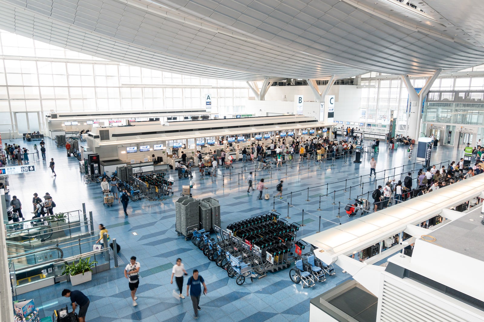 「国際ターミナルと旅行客（羽田空港）」の写真