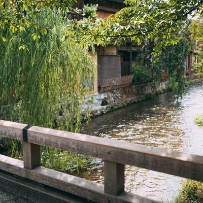 京都・祇園の風情漂う巽橋と柳並木の写真