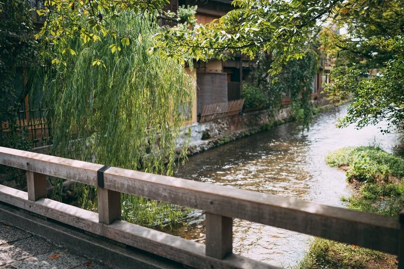 京都・祇園の風情漂う巽橋と柳並木の写真