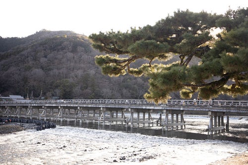 京都嵐山の渡月橋と工事中の土のうの写真