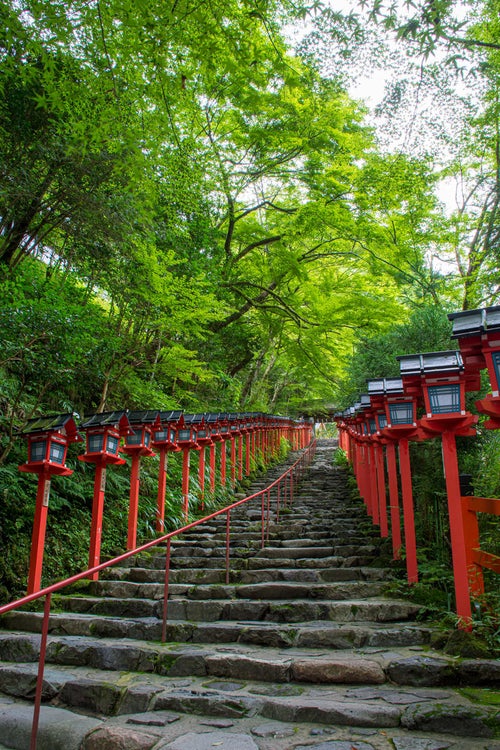 雨上がりの早朝の貴船神社入り口の石段（京都）の写真