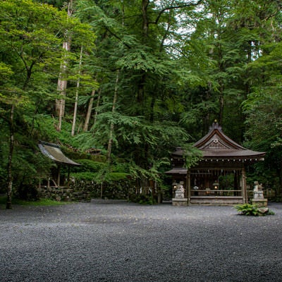 早朝の静けさの中の貴船神社奥宮（京都）の写真