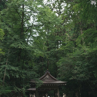 大きな木に囲まれて建つ貴船神社奥宮（京都）の写真