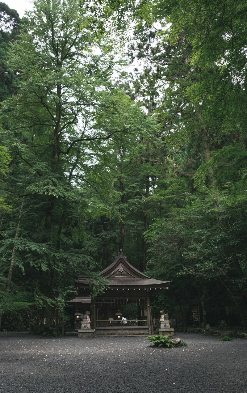「大きな木に囲まれて建つ貴船神社奥宮（京都）」の写真