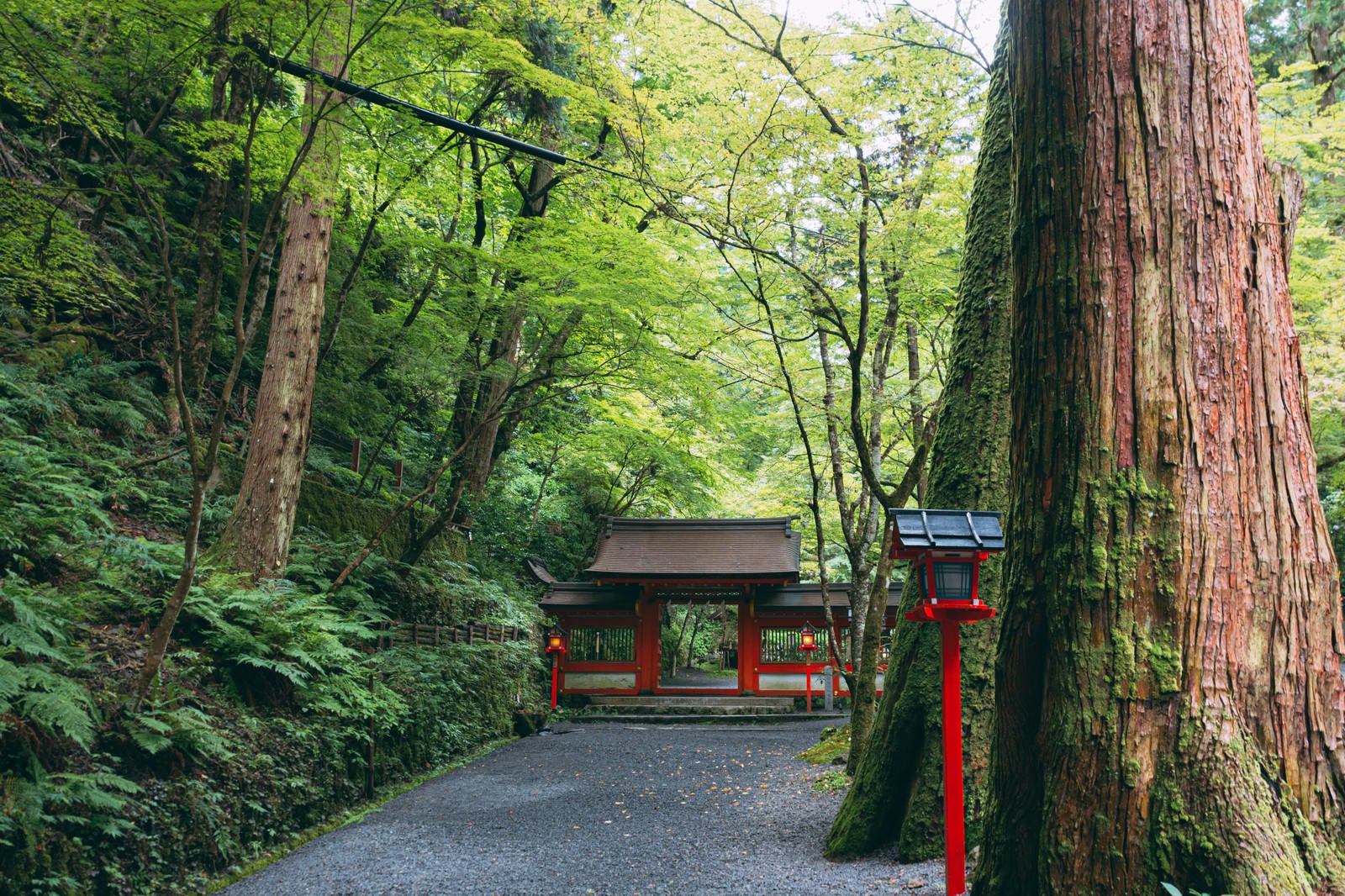 「貴船神社奥宮入り口の門（京都）」の写真