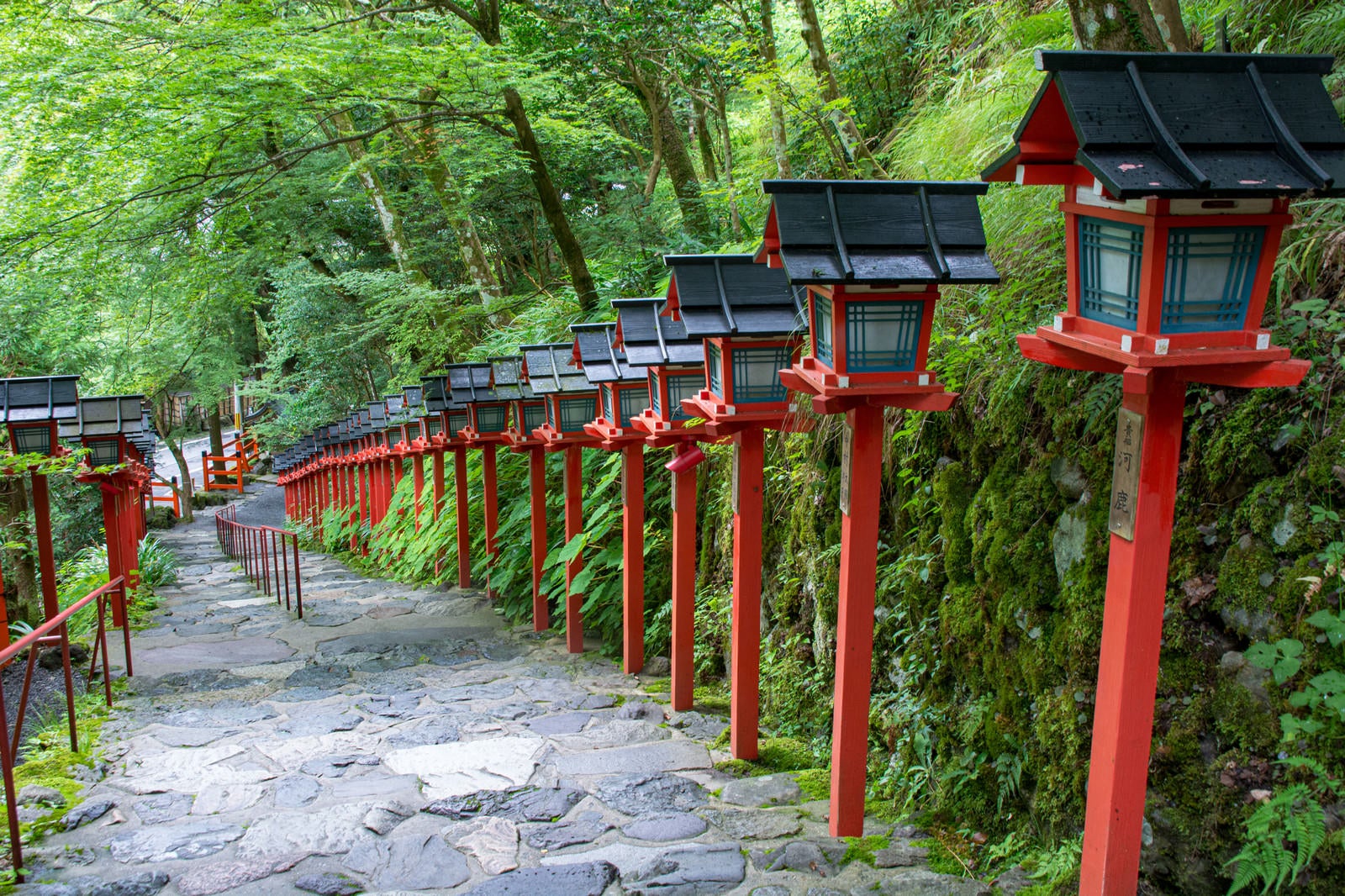 「貴船神社の綺麗に並んだ美しい赤い灯篭（京都）」の写真