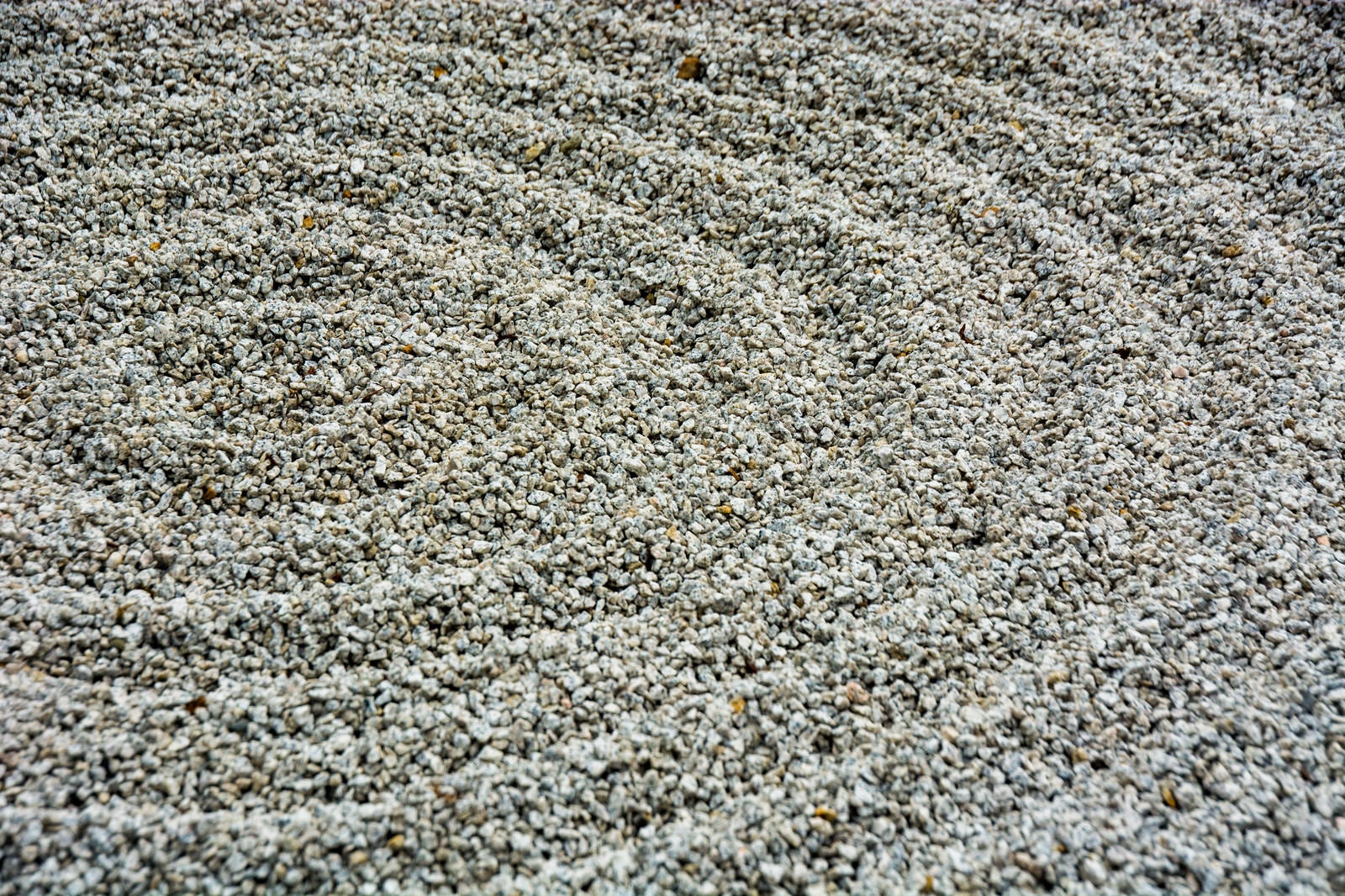 「砂紋の砂の渦」の写真