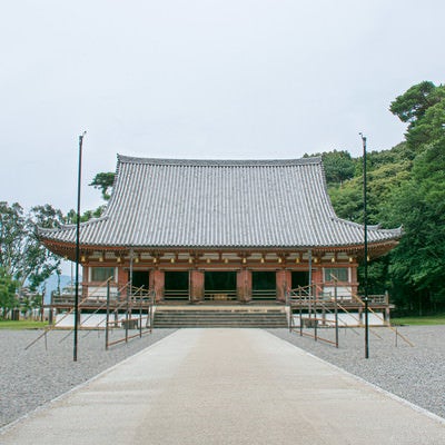 どっしりとした姿を見せる国宝の金堂（醍醐寺）の写真