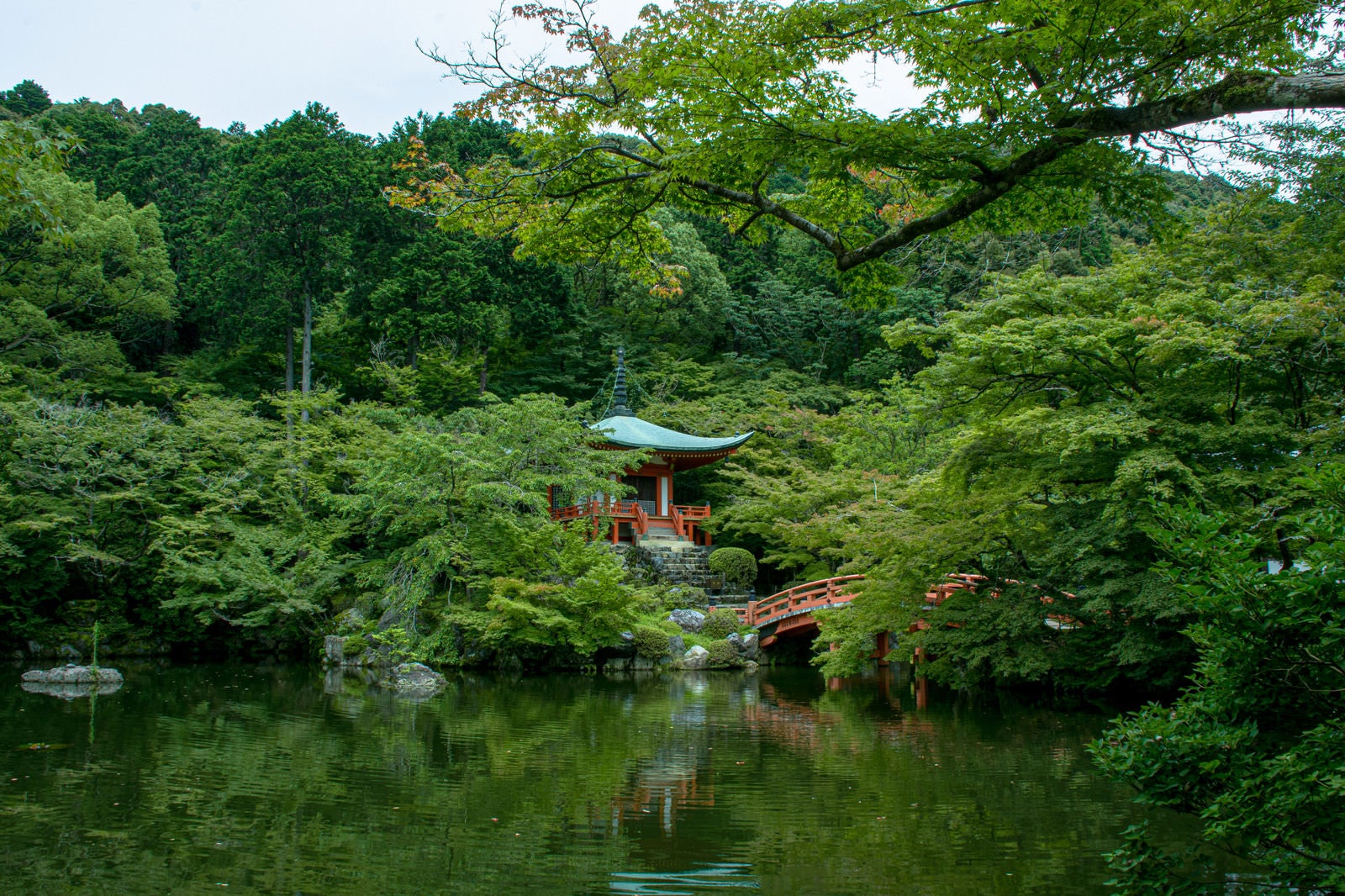 「醍醐寺の青紅葉と池（京都）」の写真