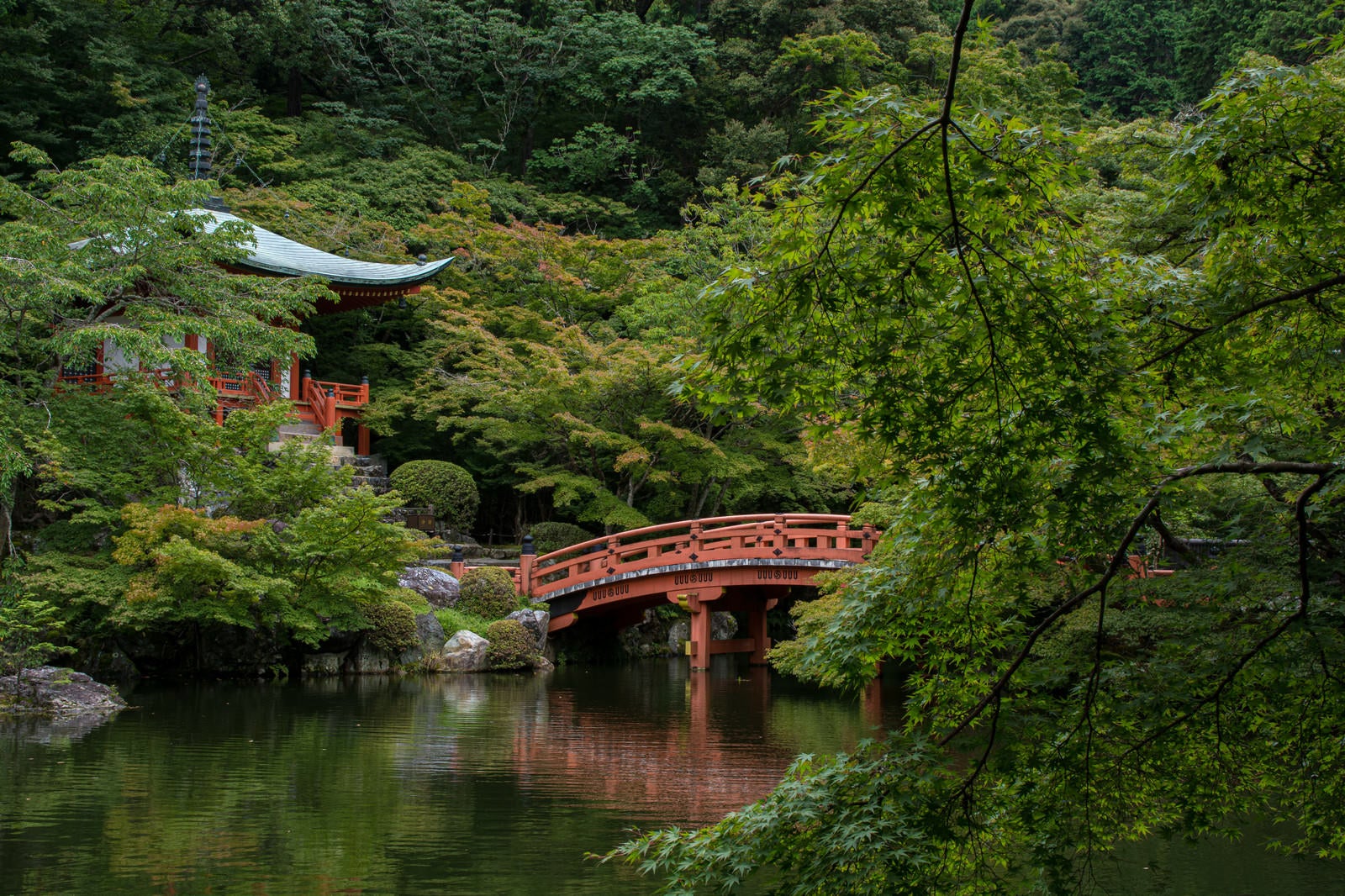 「青紅葉の向こうに見える朱塗りの橋が水面に姿を落とす（醍醐寺）」の写真
