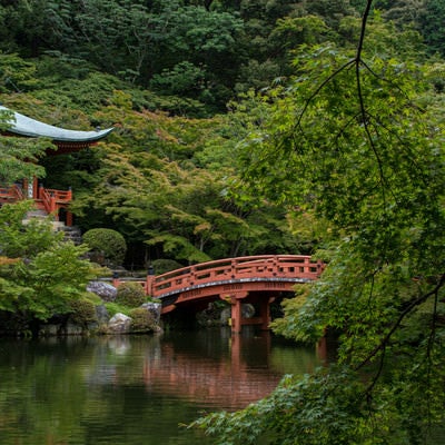 青紅葉の向こうに見える朱塗りの橋が水面に姿を落とす（醍醐寺）の写真