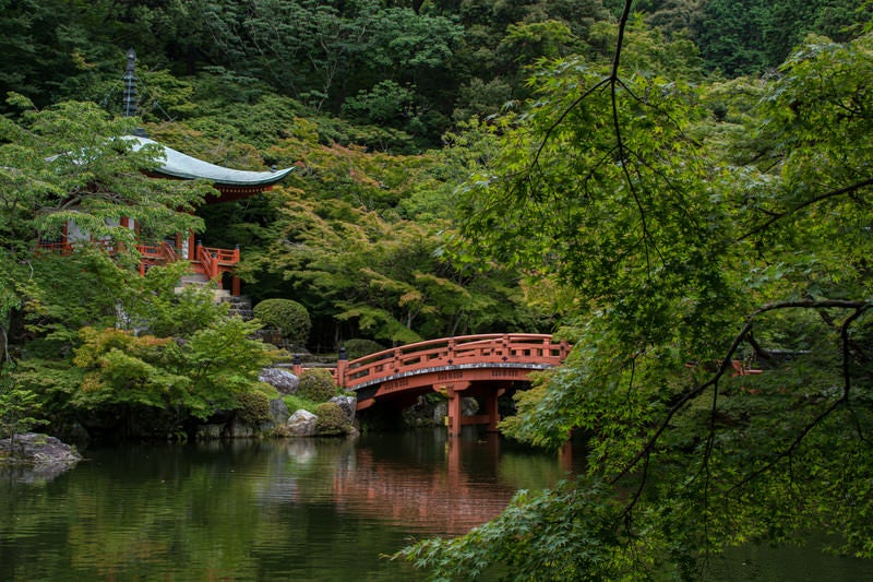 青紅葉の向こうに見える朱塗りの橋が水面に姿を落とす（醍醐寺）の写真