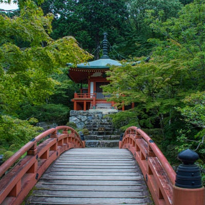 橋の向こうに見える朱塗りのお堂（醍醐寺）の写真