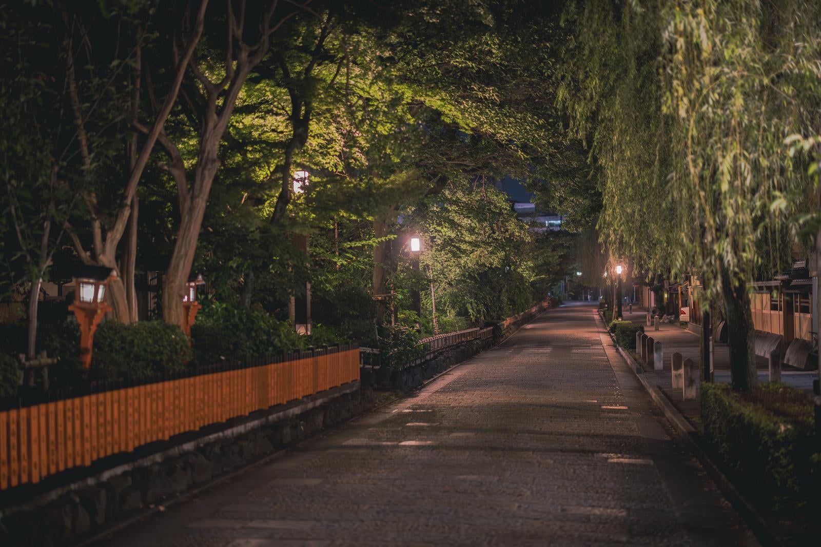 「 京都の夜の美しさ祇園白川の散歩」の写真