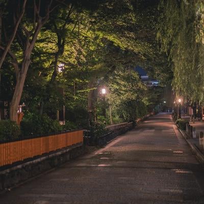  京都の夜の美しさ祇園白川の散歩の写真