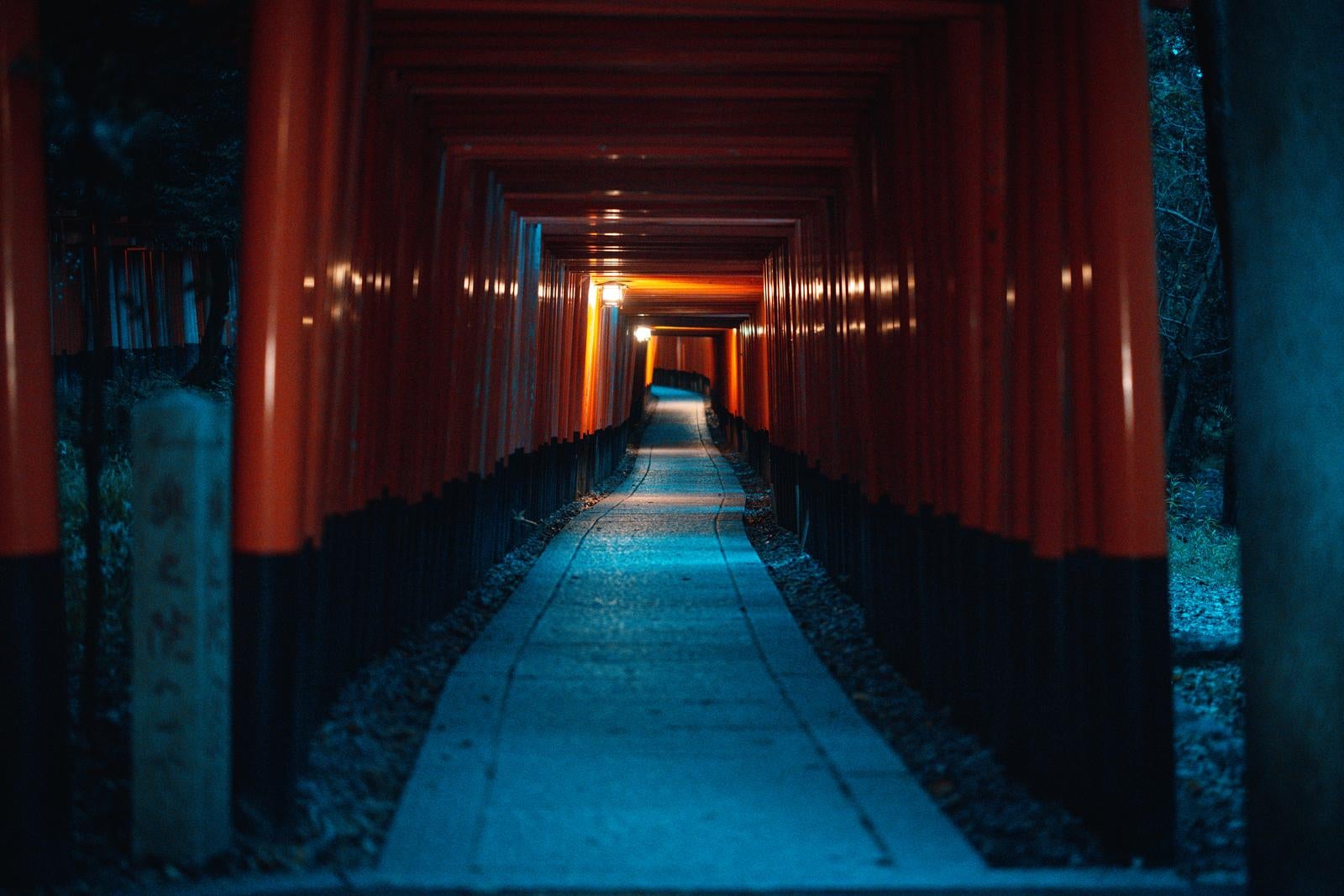 「朱色の千本鳥居のトンネルが続く参道」の写真