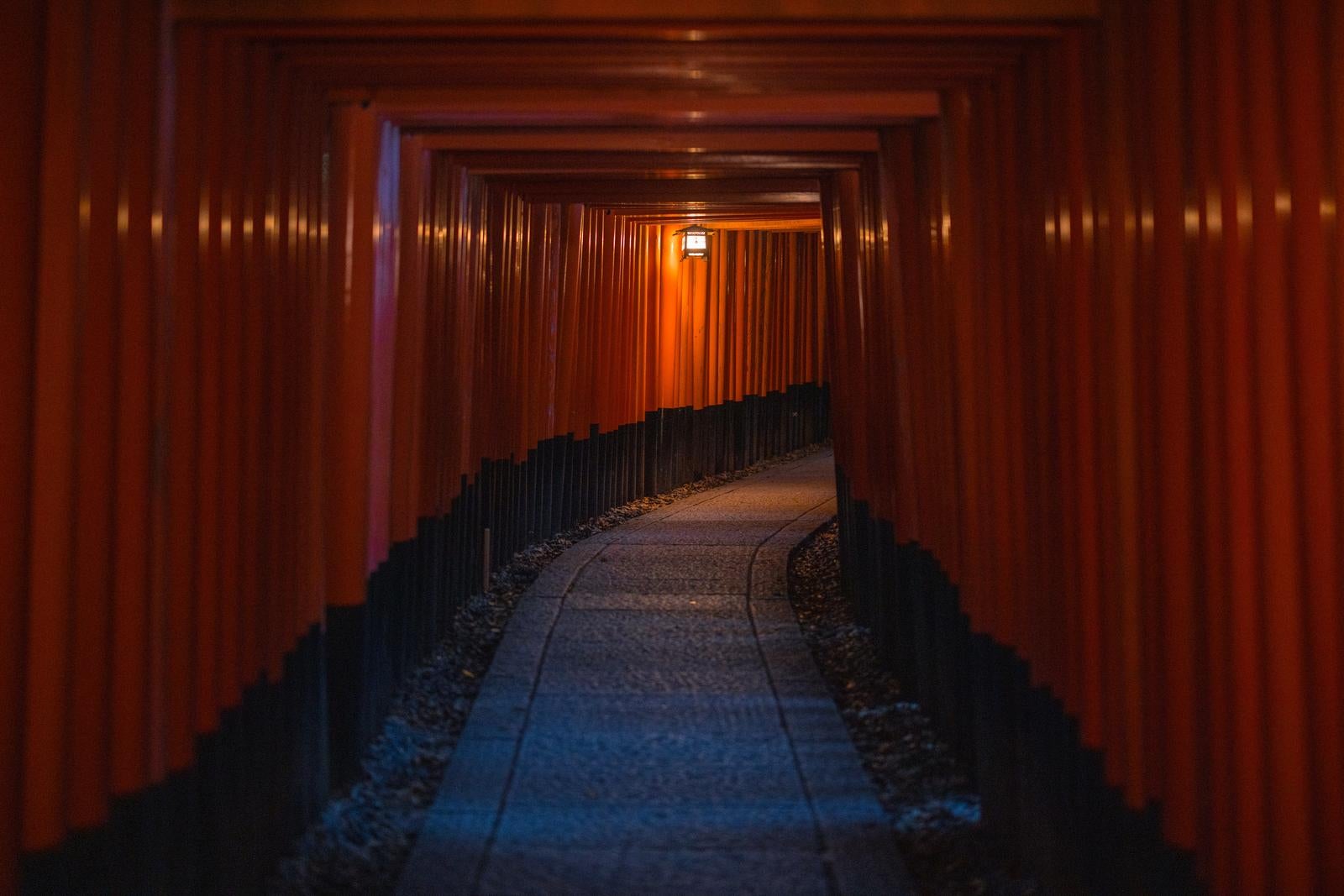 「深夜の千本鳥居」の写真