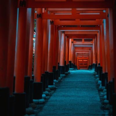 朱塗りの鳥居が織りなすトンネルの写真