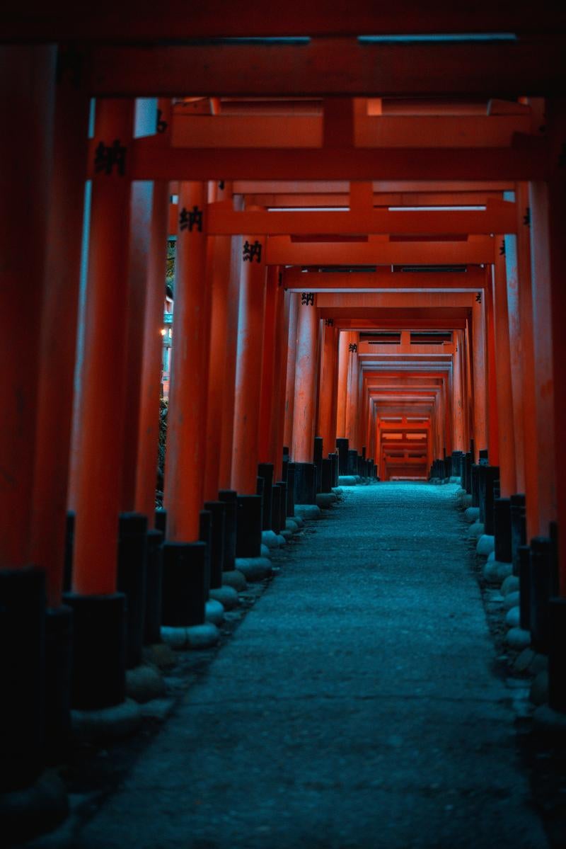 「朱塗りの鳥居が織りなすトンネル」の写真