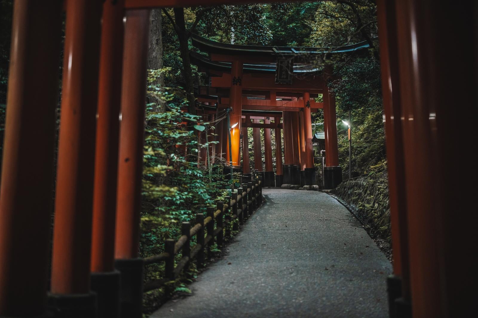 「緑豊かな木々に囲まれた参道で、朱色の鳥居が連なる」の写真